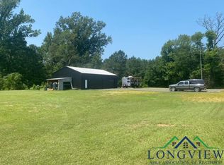 4203 S Sego Lilly Rd, Diana, TX 75640