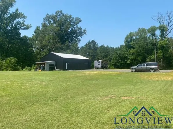 4203 S Sego Lily Rd, Diana, TX 75640