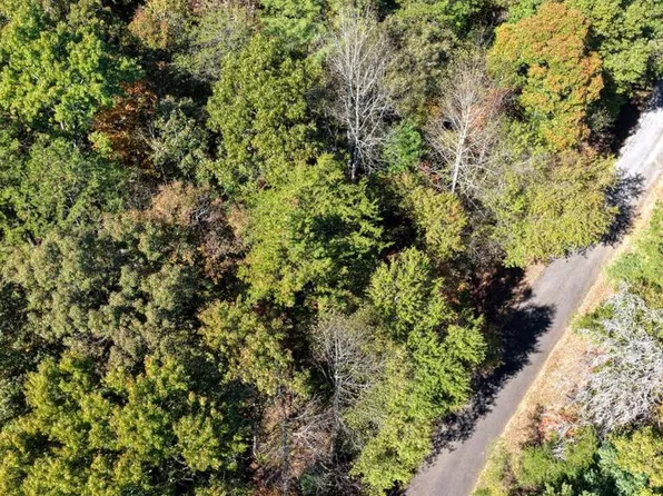 Alicia Ln, Blairsville, GA 30512