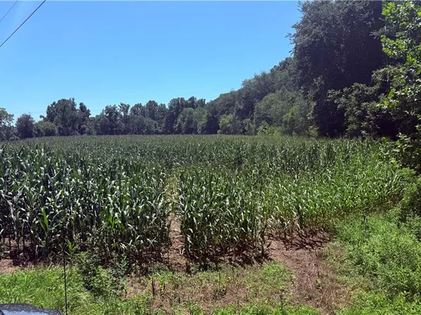 Rockford Rd, Rockford, NC 27017