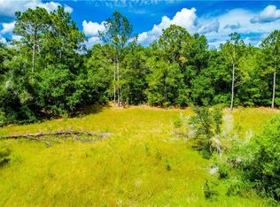 7272 Sonia Ave, Webster, FL 33597