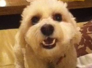 1234 N 36th St #6, Phoenix, AZ 85008