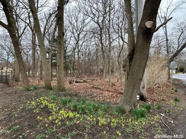 Old Medford Avenue, Medford, NY 11763