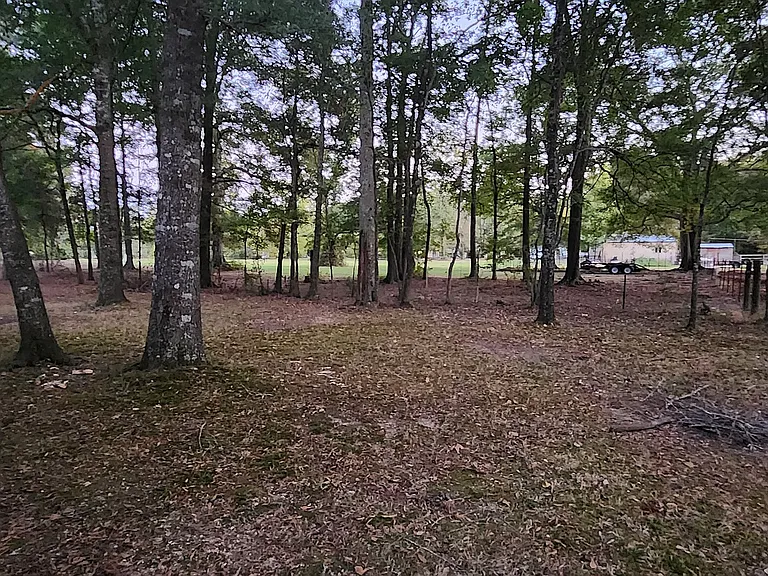 127 Rachel Cv — Photo 16