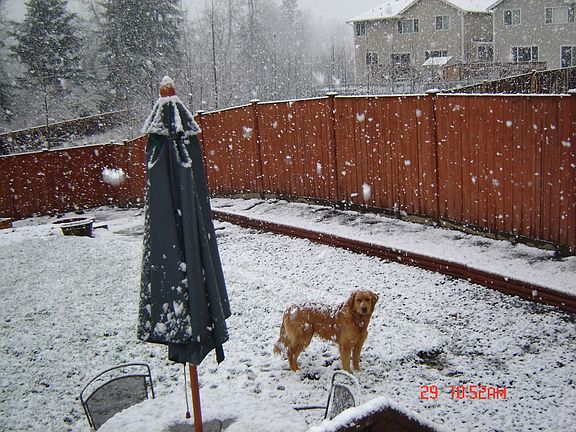 4th image of 14405 Sandy Glen Ln E