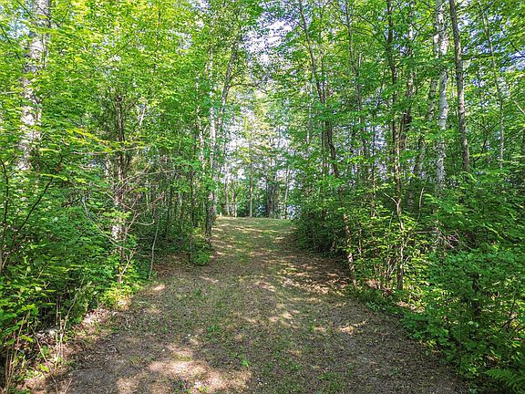 5th image of 46823 Hartley Lake Rd