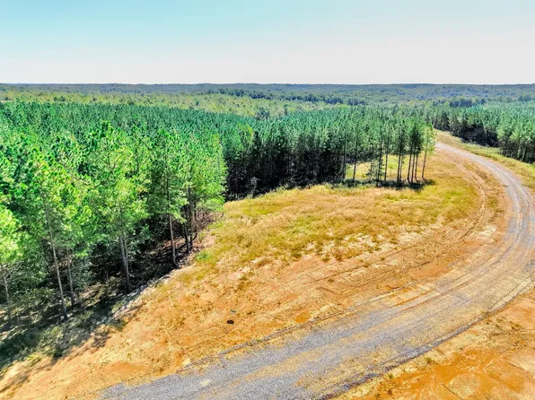 0 Warren Proctor Ln Lot 35, Erin, TN 37061