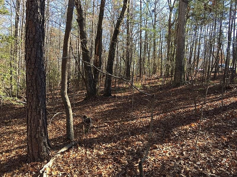 2nd image of White Oak Rd