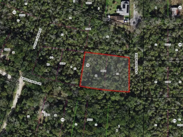 5797 S Boulevard Dr, Homosassa, FL 34448