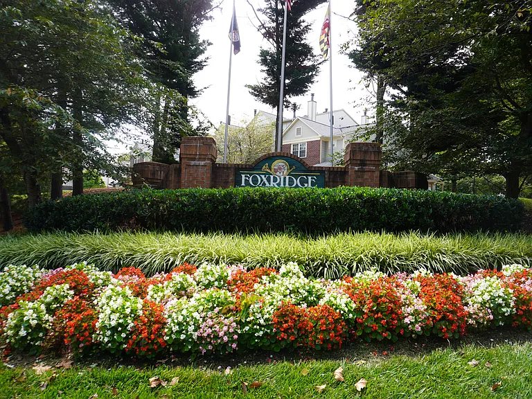 4212 Dressage Ct — Photo 2