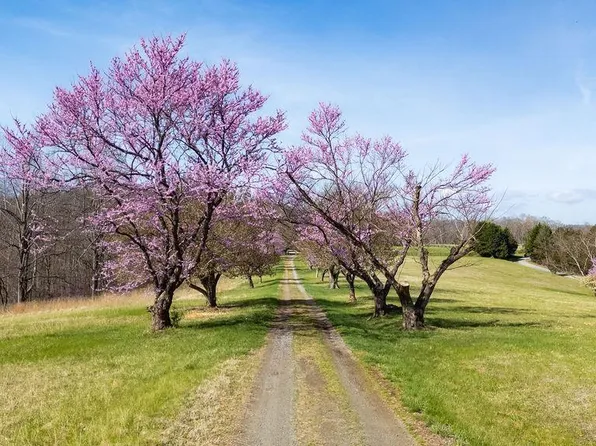LOT-17R Mimosa Ln, Faber, VA 22938