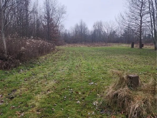 10344 N Marks Rd, Columbia Station, OH 44028
