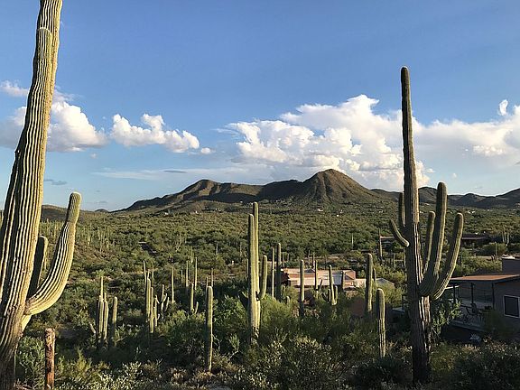 3rd image of 4380 W Camino De Venias