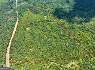 0 Liberty Grove Church Rd, Wrightsville, GA 31096