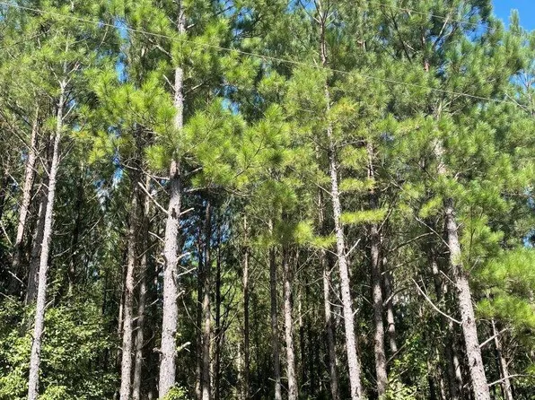 0 Sandy Grove Church Rd, Warrenton, GA 30828