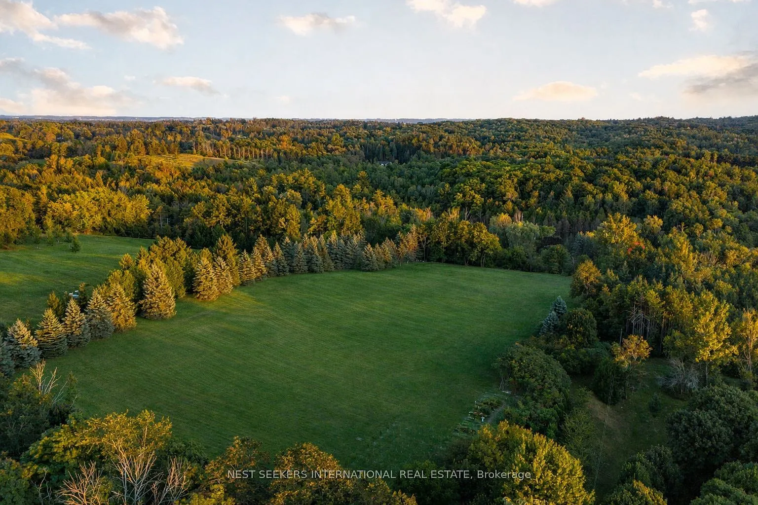 2510 17th Sideroad photo 1