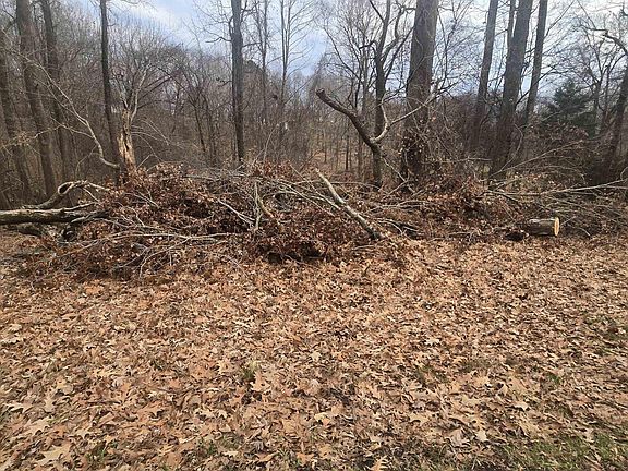 2nd image of LOT 44 Cherokee Loop