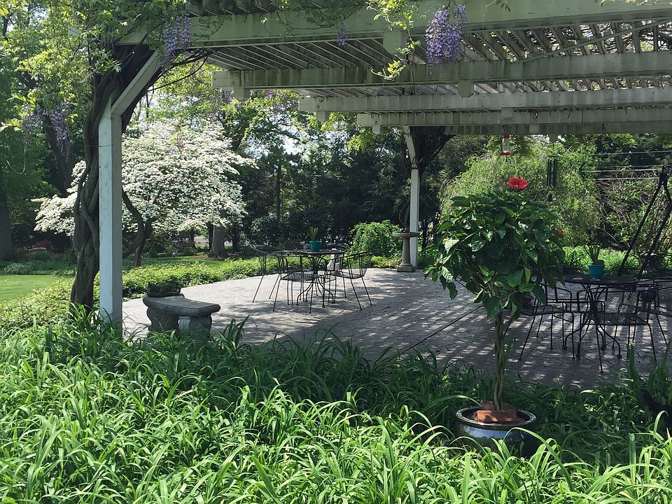 Wisteria starting to bloom!