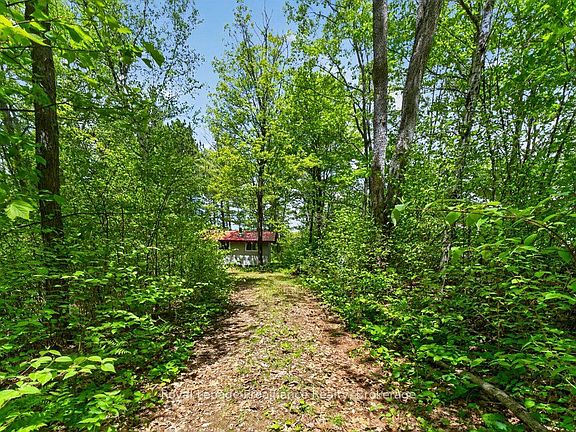 4th image of 2485 Alfs Bay Ln