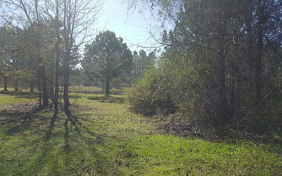 5th image of 7346 Twisted Oak Cir