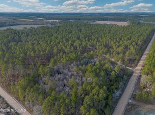 0 Reddish Rd, Odum, GA 31555