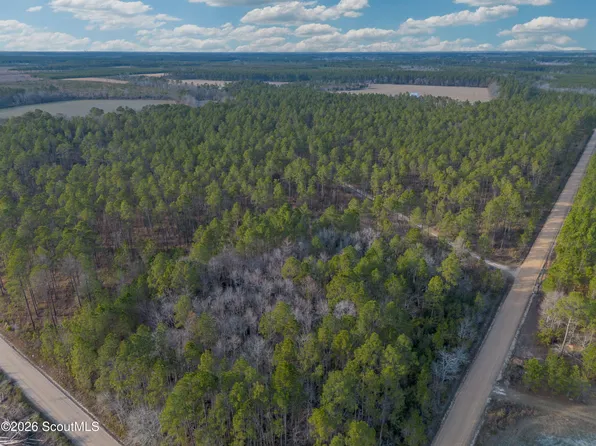 0 Reddish Rd, Odum, GA 31555