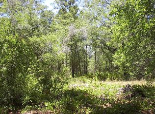 Stardust Way, Brooksville, FL 34613