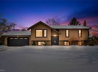 1250 Dorothea Dr, Painesville, OH 44077