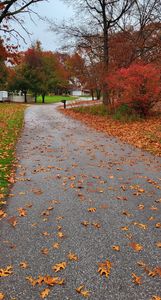 LOT 68 Hillside Ln, Demotte, IN, 46310