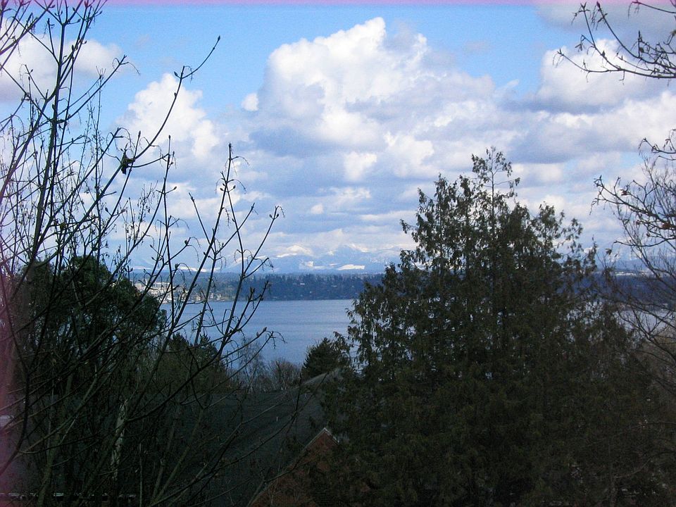 View from main level deck