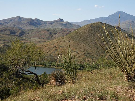 5th image of 50 Camino Los Vientos #1/1