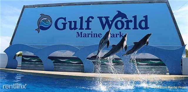 Go on an Aquatic Adventure at Gulf World!