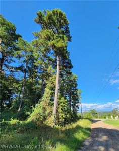 1465 Citadel Bluff Trl, Cecil, AR, 72930