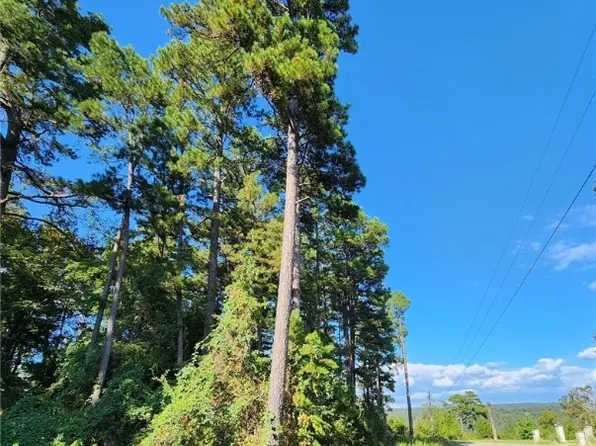 1465 Citadel Bluff Trl, Cecil, AR 72930