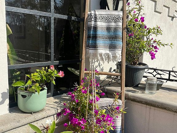 Vibrant and charming