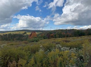 40 Bearhouse Hill Rd, Windsor, NY 13865