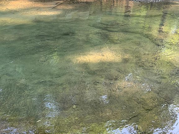 A calm spot in the river