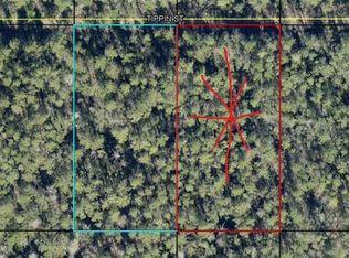 TRACT 597 Tippin St, Hastings, FL 32145