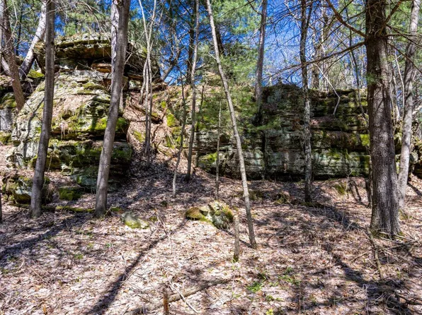 30.73 ac County Road B, Grand Marsh, WI 53936