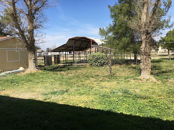 back yard