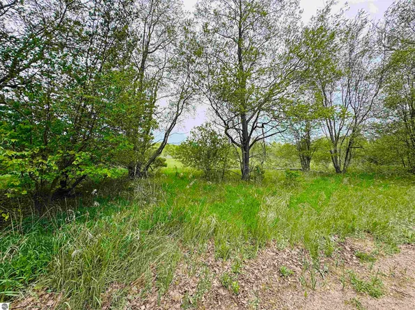 PARCEL B2 Bosscher Rd, Manton, MI 49663