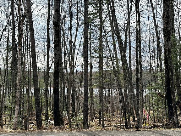 4th image of Lot 2 W River Road