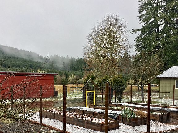 Raised Garden