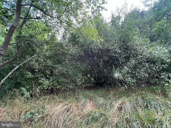 0 Quail Rd, Basye, VA 22810