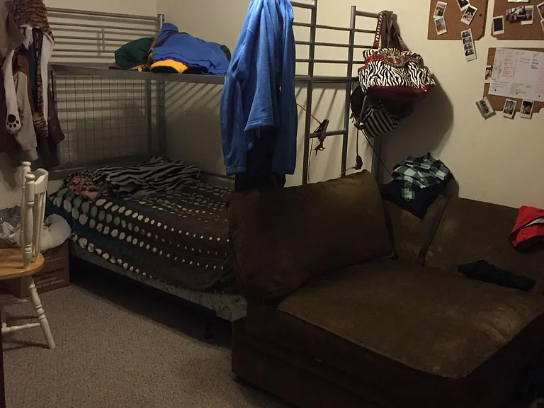 Downstairs bedroom