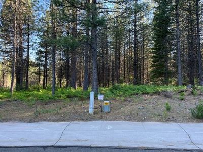 20 Old Mill Dr, McCloud, CA, 96057