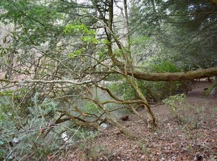 Indian Cave Rd, Ellijay, GA 30536