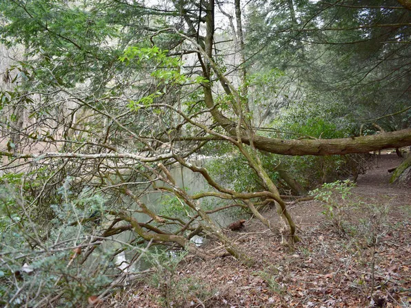Indian Cave Rd, Ellijay, GA 30536