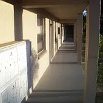 7800 Belcher Rd #202 — Photo 6