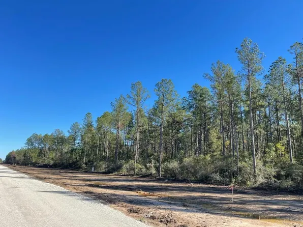 Black Cat Rd, Sour Lake, TX 77659